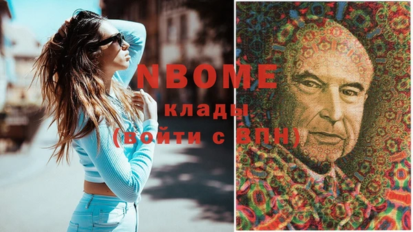 бошки Няндома